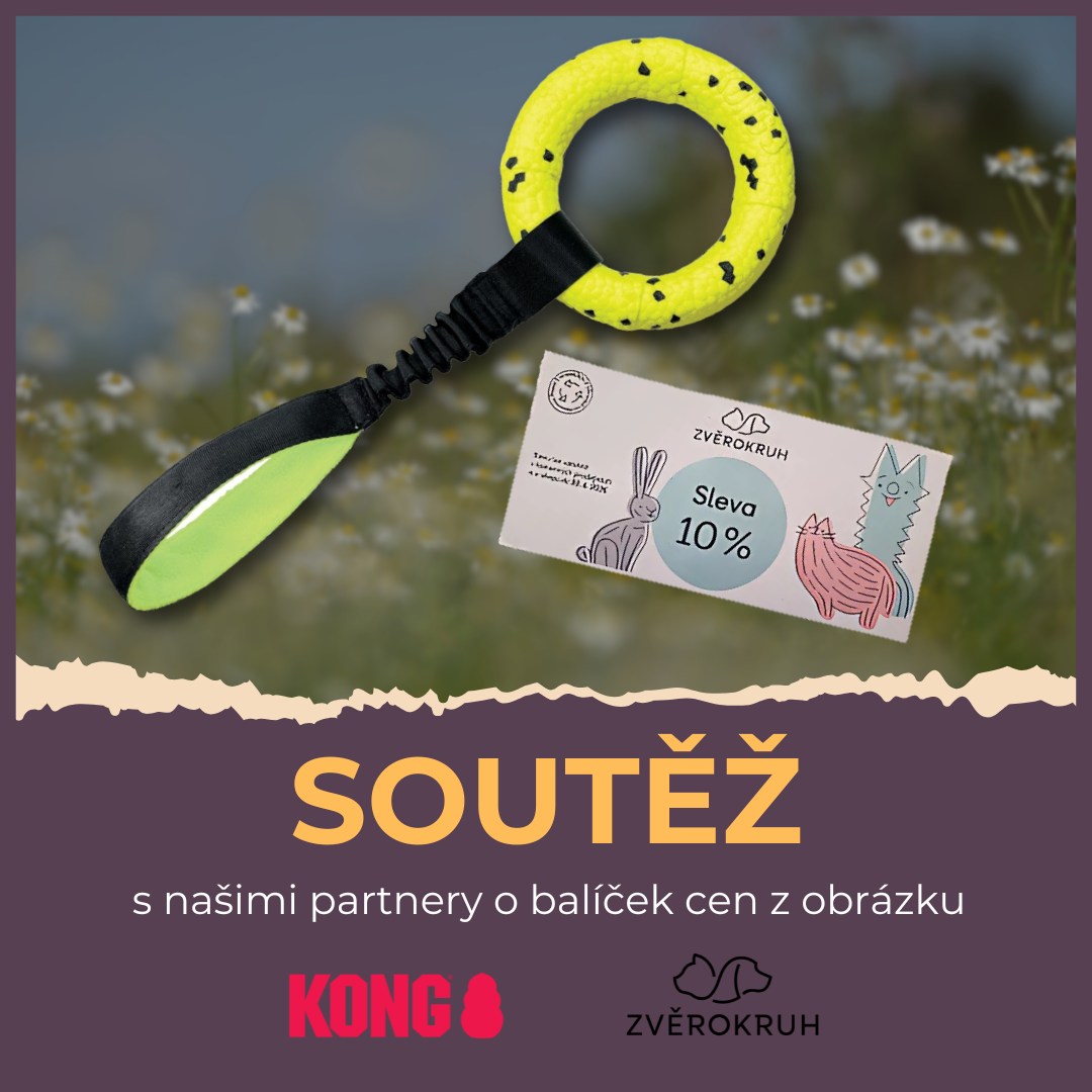 Psichologie.cz